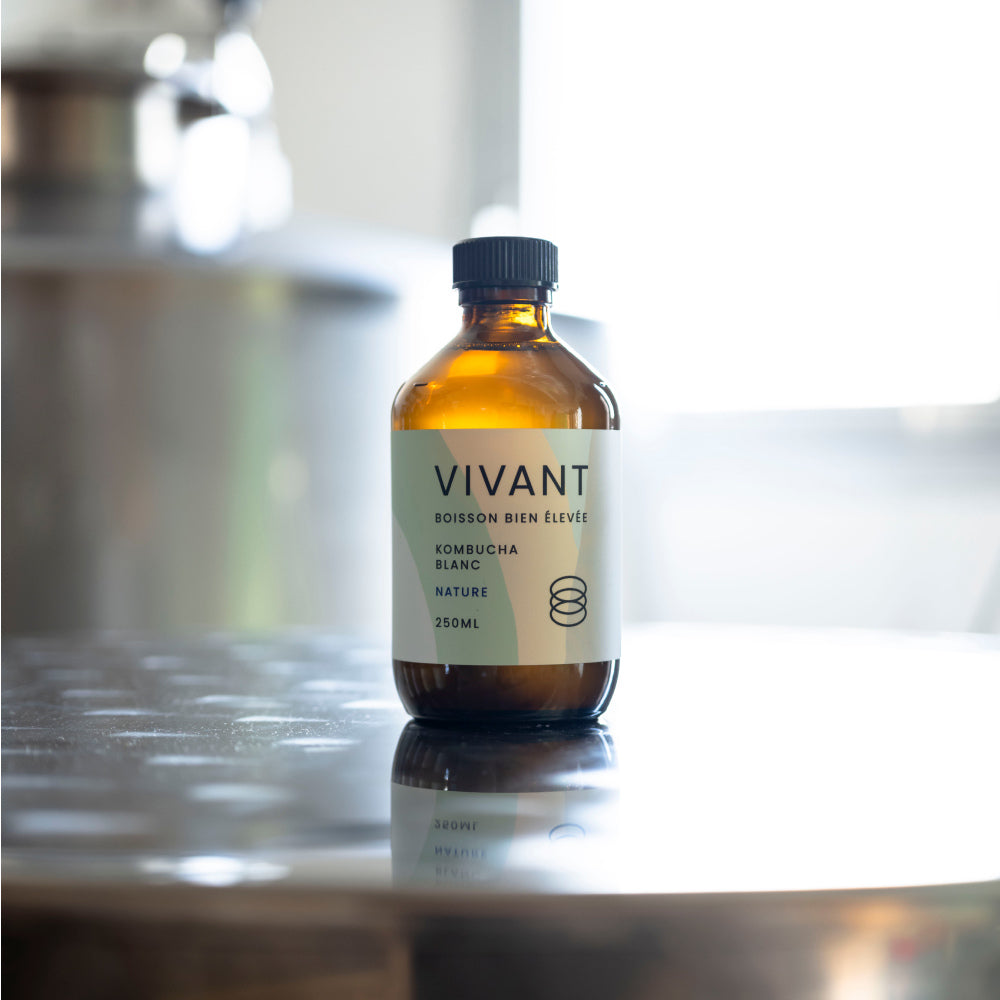 White Tea Kombucha vivantkombucha.fr