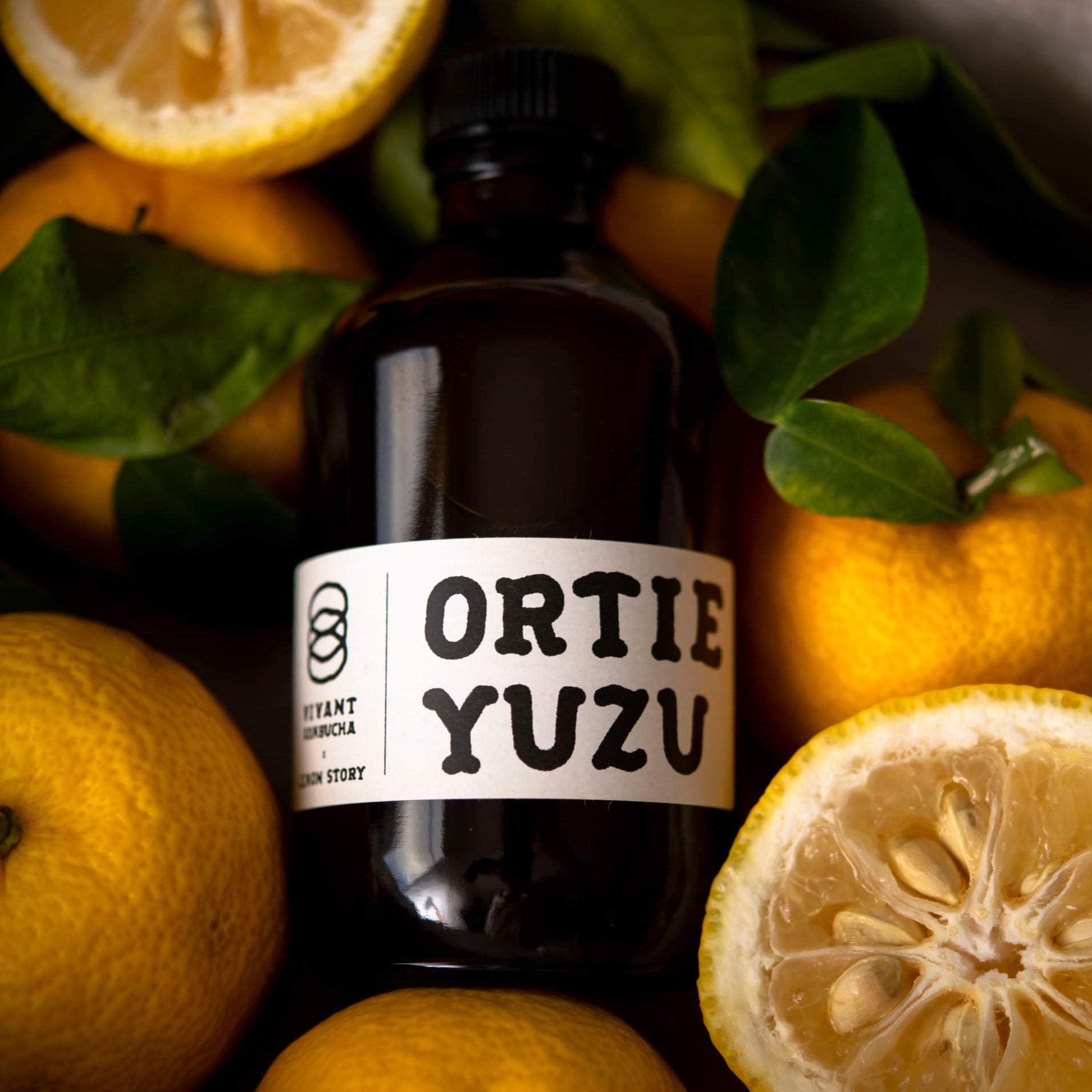 Nettle Kombucha with French Yuzu Special edition vivantkombucha.fr